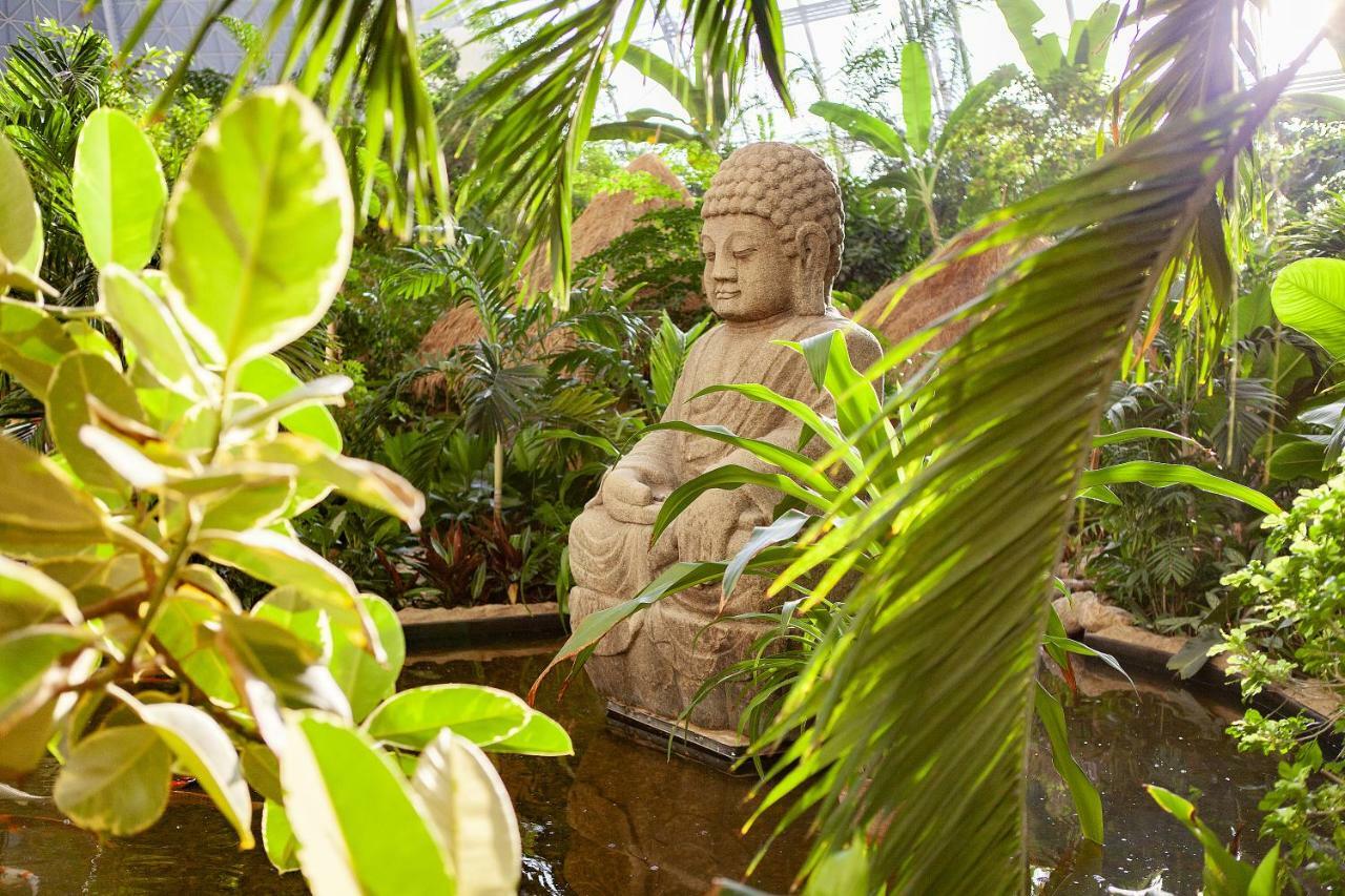 Tropical Islands Campingplatz 克劳斯尼克 外观 照片